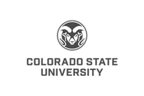 Colorado State University